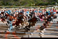 Port Stephens Triathlon Festival