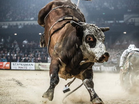 Professional Bull Riders Sydney Origin - Pubs and Clubs 1