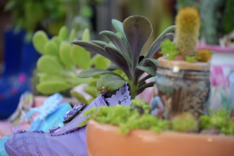 QCWA Sunday Markets - Go Out 1