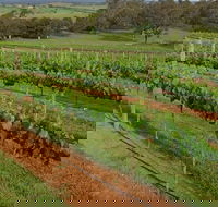 Razorback Ridge Wines Open Weekends - Go Out