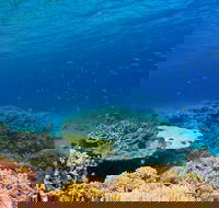 Recovery of the Great Barrier Reef - Pubs and Clubs