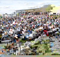 Riverfest Food Wine and Music Festival - Pubs and Clubs