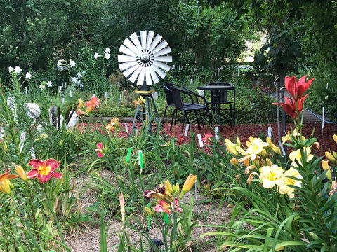 Riverina Iris Farm Open Garden And Iris Display - Go Out 2