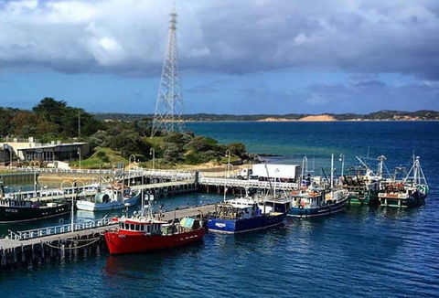 San Remo Fishing Festival - Go Out 2
