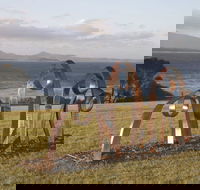 Sculpture Bermagui - Go Out