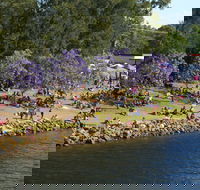 Shoalhaven River Festival - Pubs and Clubs