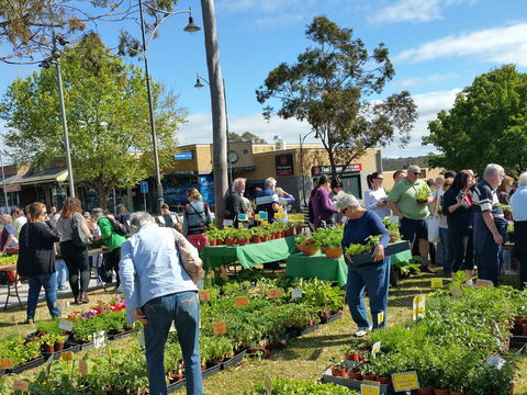 Springwood Growers Market - Go Out 1