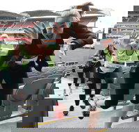 Stadium Stomp Adelaide Oval - Postponed - Go Out