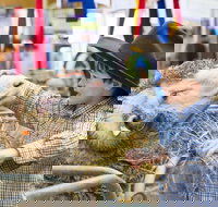 Sydney Royal Easter Show - Go Out