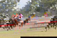 Book Thangool Accommodation Vacations Pubs and Clubs Pubs and Clubs