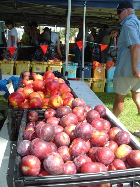 The Farmers Market On Manning - Go Out 0