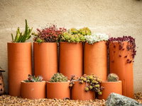 Tumbarumba Spring Flower Festival