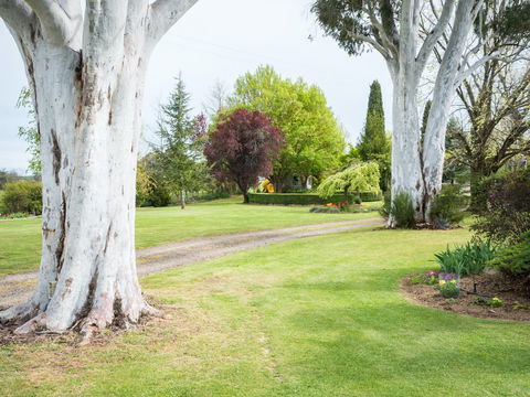 Tumbarumba Spring Flower Festival - Go Out 2
