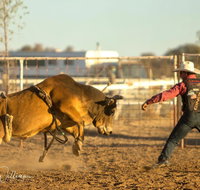 Walgett Charity Bushman's Carnival Rodeo and Campdraft - Pubs and Clubs