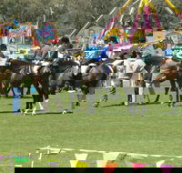 Wangaratta Show - Go Out