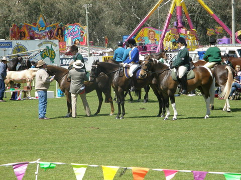 Wangaratta Show - Go Out 0