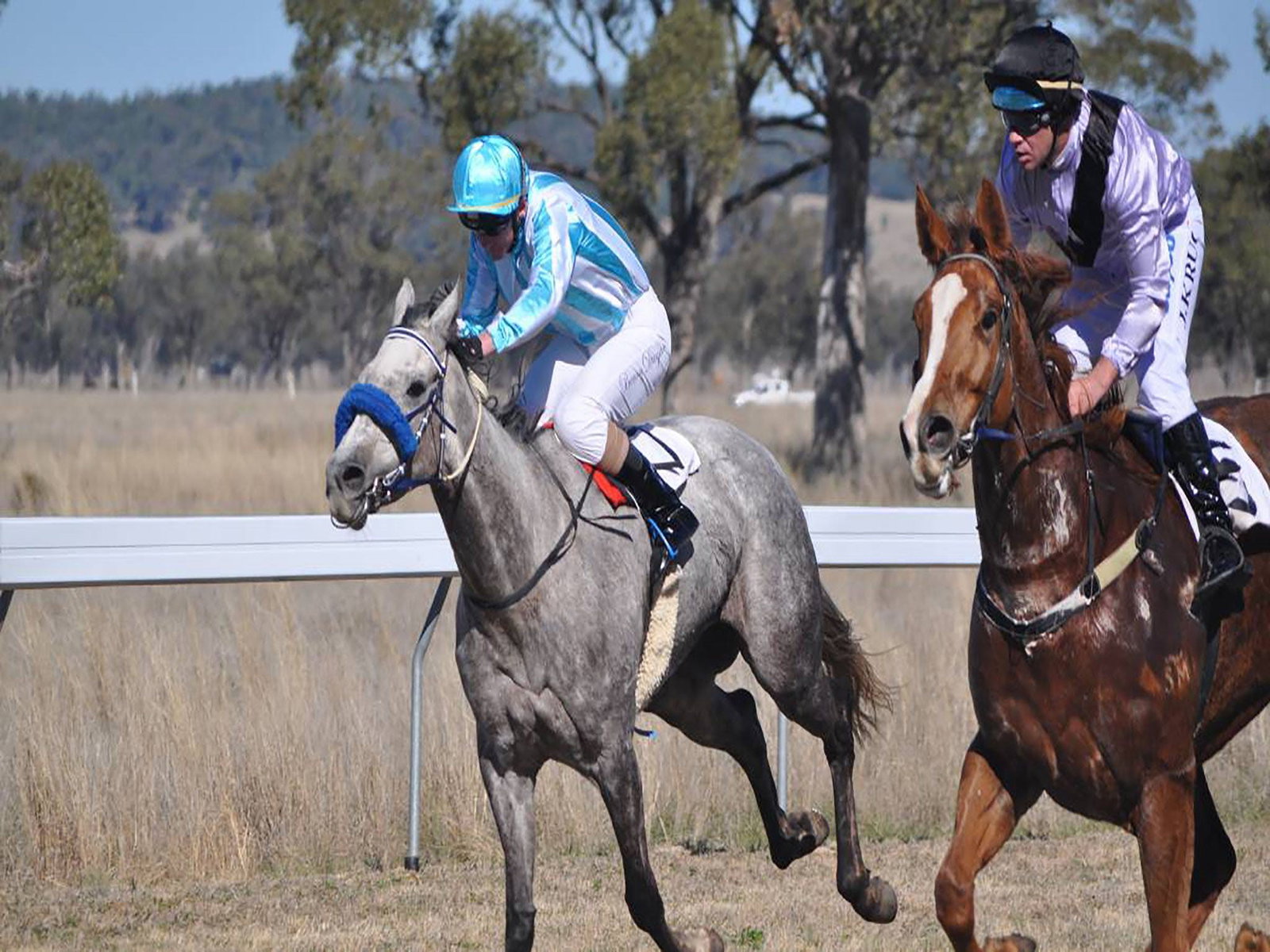 Wean NSW Pubs and Clubs