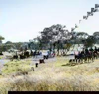 Weddin Mountain Muster - Pubs and Clubs