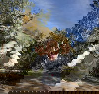 Zoorassic at Werribee Open Range Zoo. - Pubs and Clubs