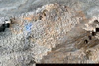 2020 Katherine Bird Festival