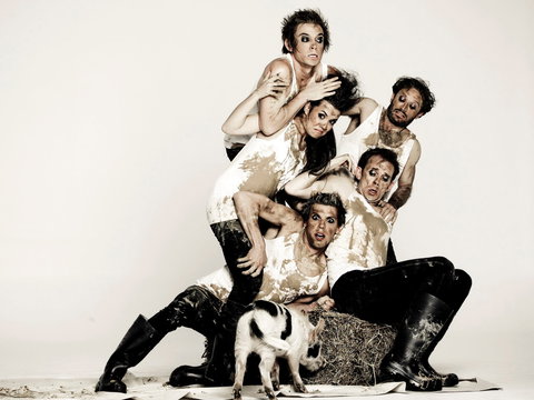 Animal Farm - Launceston - Go Out 0