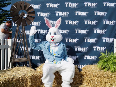 Annual Easter Show *** Postponed *** - Pubs and Clubs 1