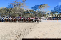 Australian Campdraft Association National Finals Campdraft 2021