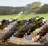 Bandon Grove Farm Tours - Go Out