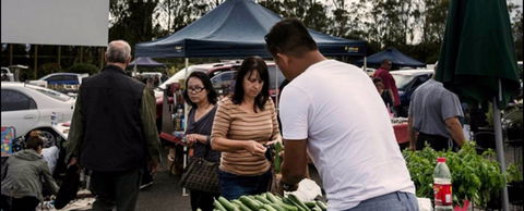 Blacktown Markets - Go Out 0