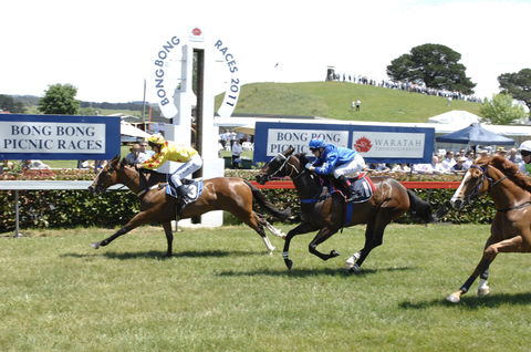 Bong Bong Picnic Races - Go Out 0