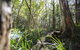 Bottlebutt Bash Trail Run - thumb 0