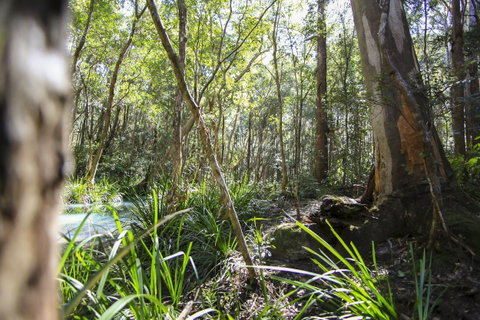 Bottlebutt Bash Trail Run - Pubs and Clubs 0