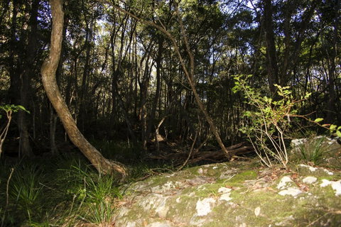 Bottlebutt Bash Trail Run - Pubs and Clubs 1