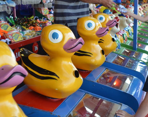 Casino Agricultural Show - Pubs and Clubs 0