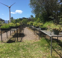 Conservation Volunteers Australia Townsville - Ocean View Nursery - Pubs and Clubs