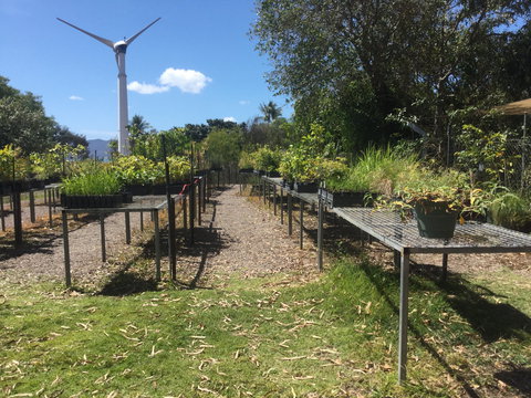 Conservation Volunteers Australia Townsville - Ocean View Nursery - Pubs and Clubs 0
