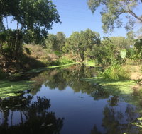 Conservation Volunteers Australia Townsville - Creekwatch - Pubs and Clubs