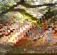 Cooktown and Cape York Expo 2021 - Go Out