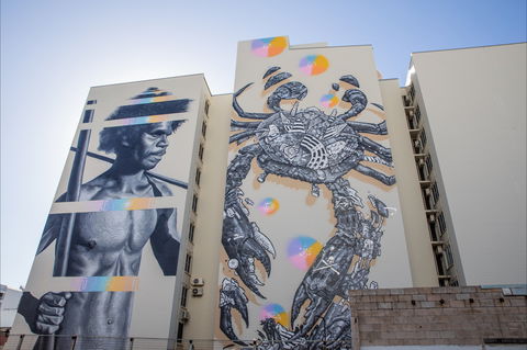 Darwin Street Art Festival - Go Out 2