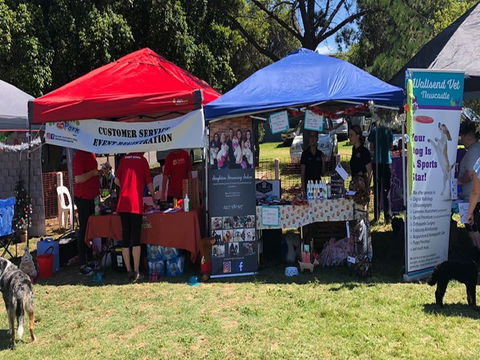 Dogs In The Park Shell Harbour - Pubs and Clubs 0