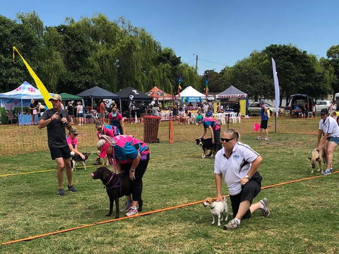 Dogs In The Park Shell Harbour - Pubs and Clubs 1