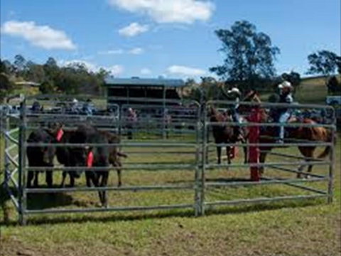 Dungog Team Penning - Go Out 0
