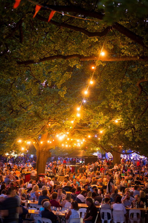 Festivale - Pubs and Clubs 0