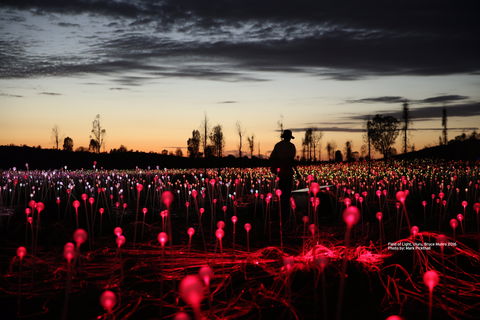Field Of Light Uluru - Go Out 0