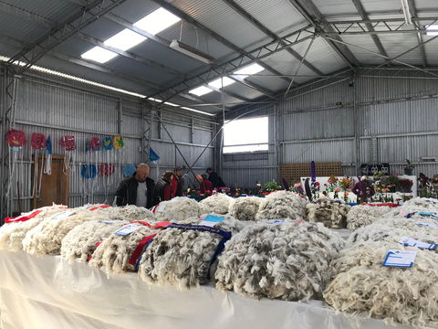 Flinders Island Show - Go Out 2
