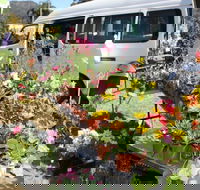 Johns River Country Markets - Pubs and Clubs