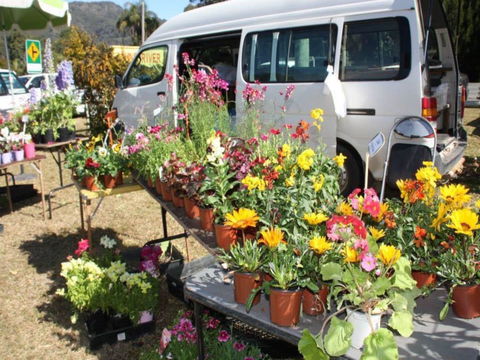 Johns River Country Markets - Go Out 0