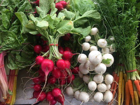Joondalup Growers Market - Pubs and Clubs 1