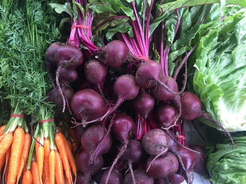 Joondalup Growers Market - Pubs and Clubs 2