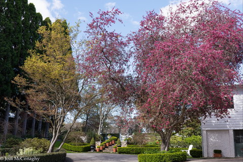 Leura Gardens Festival - Cancelled - Go Out 0